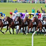 découvrez comment les arrivées des courses pmu de demain peuvent influencer vos stratégies et améliorer vos choix de paris pour maximiser vos gains.